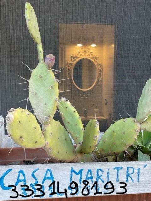 Hotel Casa Maritri Locazione Turistica Marzamemi Exteriér fotografie
