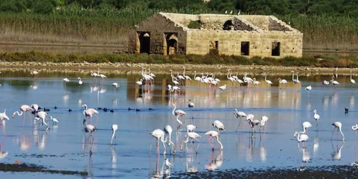 Hotel Casa Maritri Locazione Turistica Marzamemi Exteriér fotografie